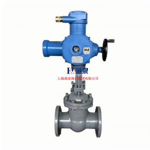  物聯網智能型閥門電動裝置ZB60-24(380)